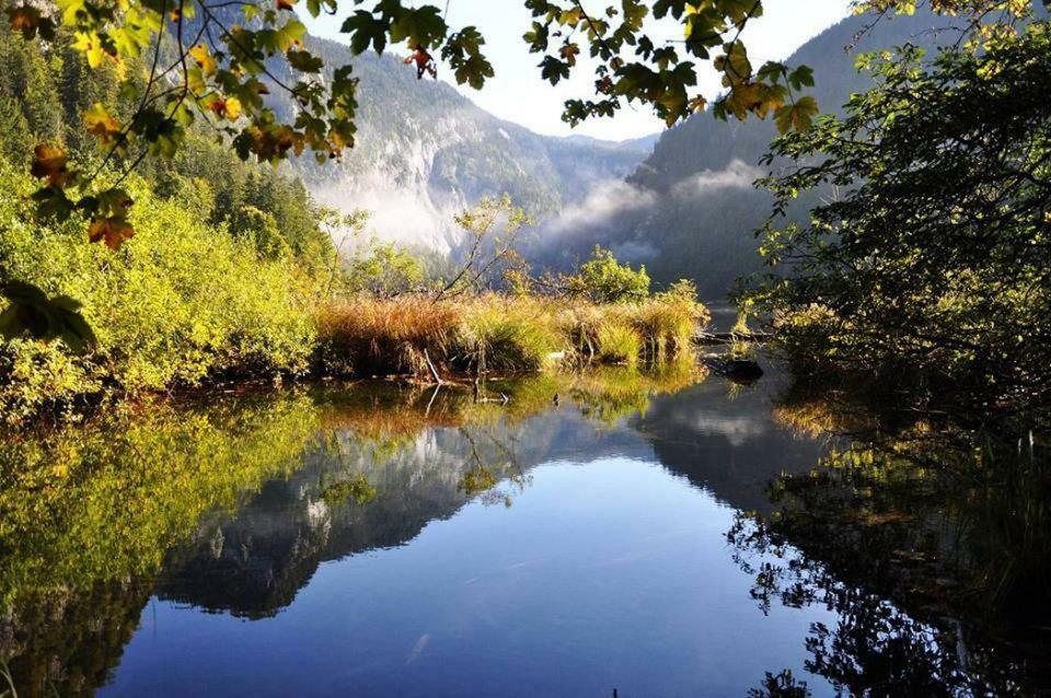 Greenheart Aussee Obersdorf 외부 사진