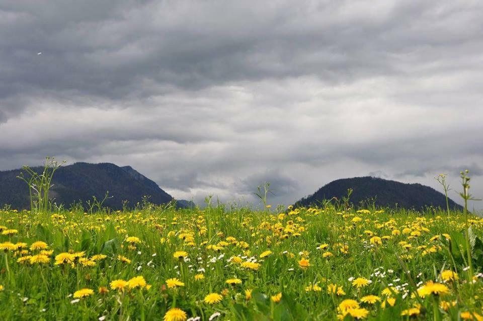 Greenheart Aussee Obersdorf 외부 사진